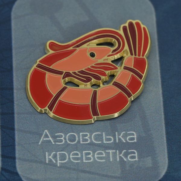 Набір пінів &laquo;Не для всіх - для своїх&raquo; all-pins-brd фото